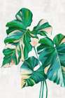 Green Tropical Leaves Botanical Print