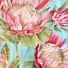 Popping King Protea I Art Print