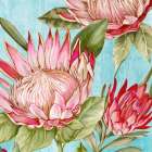 Popping King Protea II Art Print