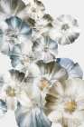 Azure Florals Art Print