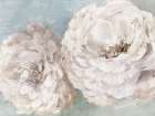 Enchanting Peonies Art Print