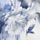 Elegant Blue II Art Print