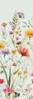 Vibrant Petals II Art Print