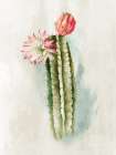 Cactus Bloom I Art Print
