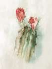 Cactus Bloom II Art Print