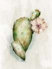Cactus Bloom III Art Print