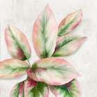 Fresh Leaves I Art Print