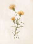 Wild Botanical III Art Print