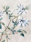 Swaying Elegence Art Print