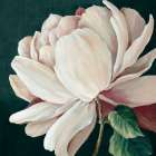 Heart of the Bloom Art Print