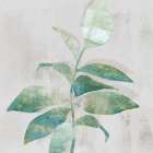 Minimal Bloom I Art Print