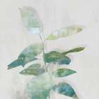 Minimal Bloom II Art Print