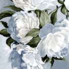 Soft White Blooms and Green Leaves Art Print