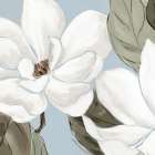 White Blooms Against Soft Blue Art Print