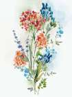 Wild bouquet Art Print
