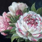 Peonies in Full Bloom I Art Print
