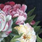 Peonies in Full Bloom II Art Print