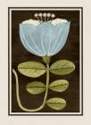 Blue Blossom on Brown Background Art Print