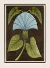 Blue Blossom with Green Leaves Art Print