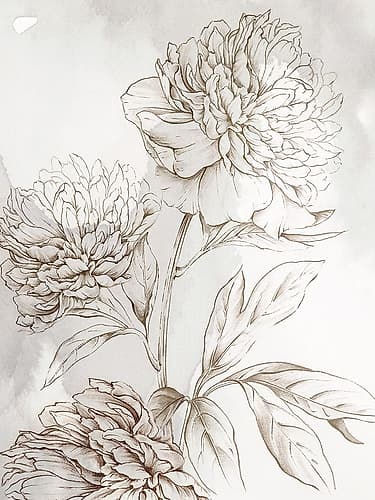 Delicate Blooms on Soft Canvas Art Print