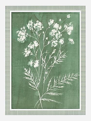 Delicate Botanical Silhouette on Green Art Print by Alex Black