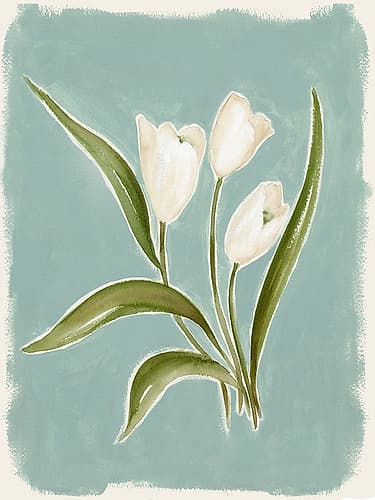 White Tulips on Blue Canvas II Art Print