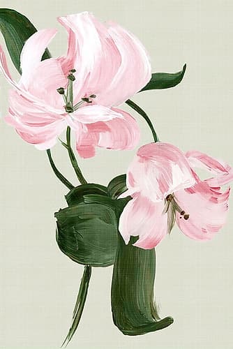 Pink Tranquil Lilies Art Print