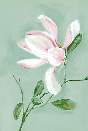 White Tranquil Magnolia Art Print