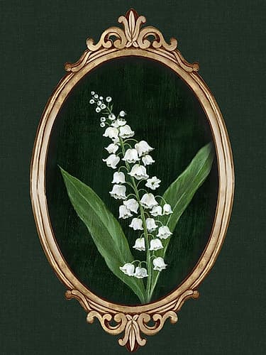 Framed Beauty I Art Print by Ailsa Black