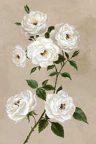White Flowers on Beige Art Print by Alex Black