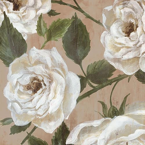 White Roses on Beige II Art Print by Alex Black