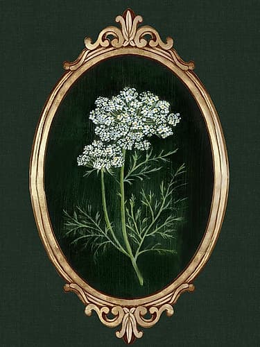 Framed Beauty III Art Print