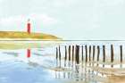 Lighthouse Coast Art Print
