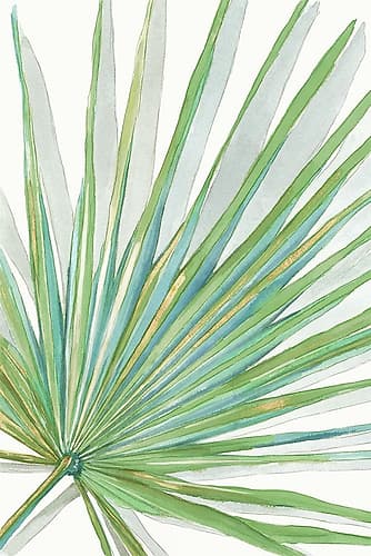 Palma Ventaglio Art Print
