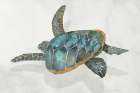 Coral Reef Turtle II Art Print
