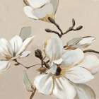 White Magnolia Branch I Art Print