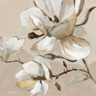 White Magnolia Branch II Art Print