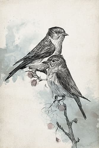 Two Blue Birds Art Print