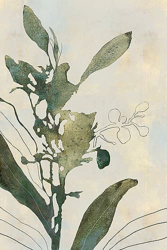 Salted Orchid Art Print by Jacob Q