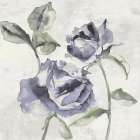 Purple Soft Rose I Art Print