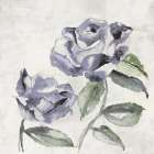 Purple Soft Rose II Art Print