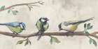 Three Songbirds Art Print
