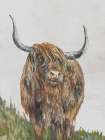 Highland Brown Cow Art Print