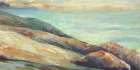 Rocky Shore Art Print