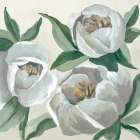 White Flora Blossom Art Print