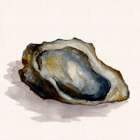 Oyster Art Print