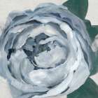 Bloom of Mystery Art Print