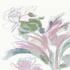 Fuscia Blooms Art Print