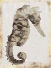 Glided Seahorse Art Print