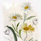 Pure Simplicity I Art Print